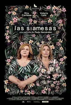 Близняшки онлайн
